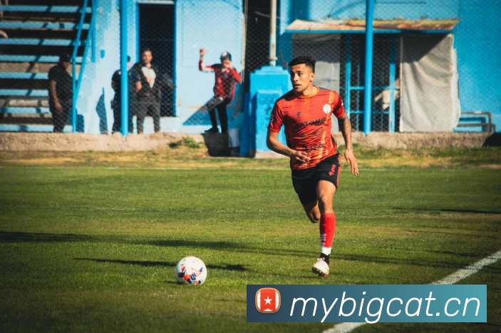 196体育最新官方网站下载(中国) - 官方网站平台生态图