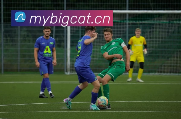 196体育最新官方网站下载(中国) - 官方网站APP 封面图